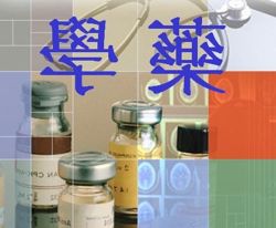 Gingikin b5 Pasta 125 Ml