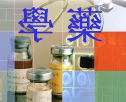 Netisum 300 Mg 60 Capsulas