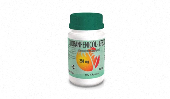 cloranfenicol genérico