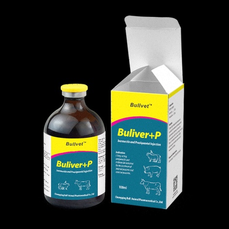 praziquantel