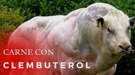 clembuterol genérico
